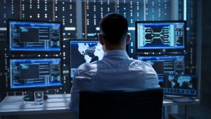 IT specialists programs St. John's