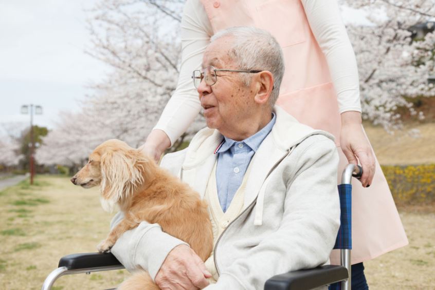 personal care attendant st.john's