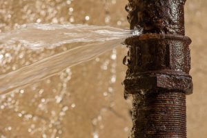 plumber courses St. John’s