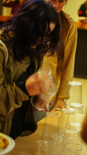 DSC00500