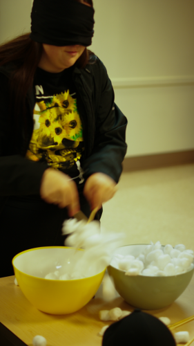 DSC00503